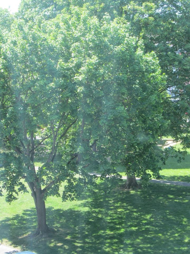 Alfter/Bonn *Wohlfühlwohnung* Aufzug!* SW-Loggia *Stellplatz* Barrierearm*renoviert! – Bild 16