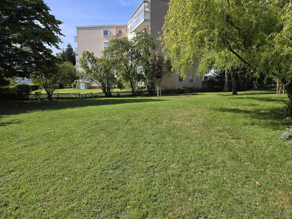 helle und großzügige EG-Wohnung in grüner Umgebung im Herzen von Wolfenbüttel – Bild 5