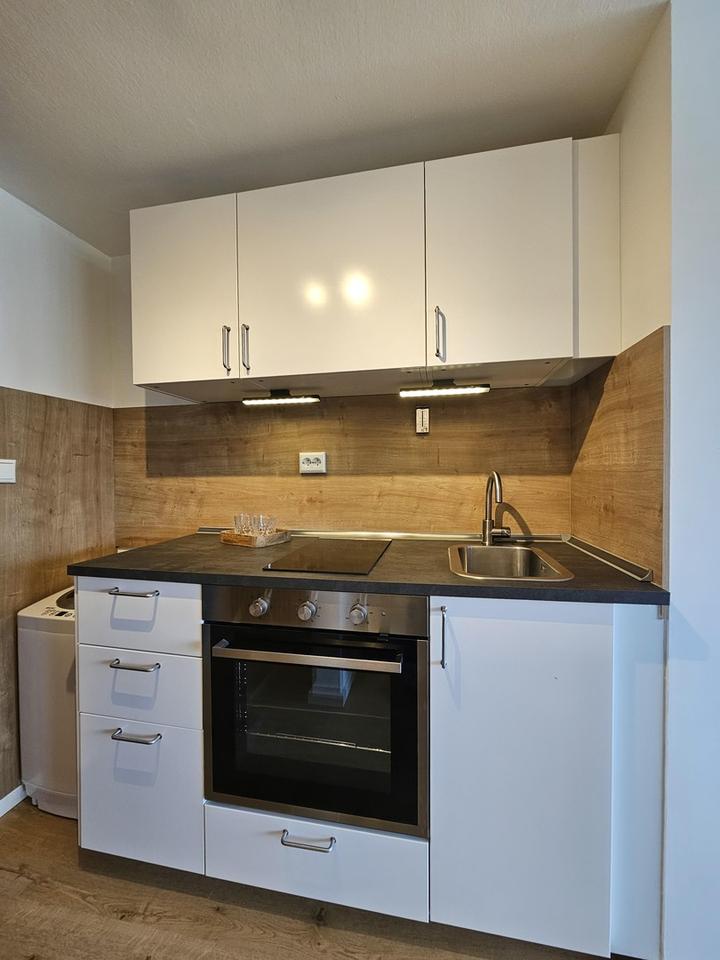 Wunderschöne NEU renvoierte Penthouse Wohnung in Passau Grubweg – Bild 4