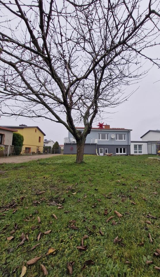 Strandnah & Feldrandlage: Ihr sonniges EFH mit ELW an der Ostsee