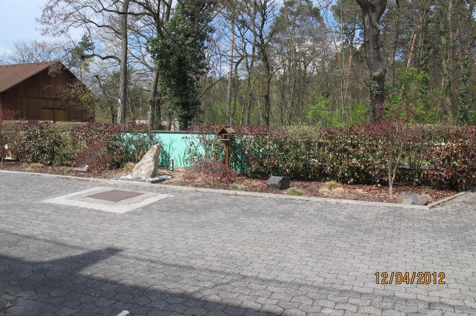 Heusenstamm Traumimmobilie in ruhiger Waldlage als Gewerbe- und Wohnimmobilien – Bild 4