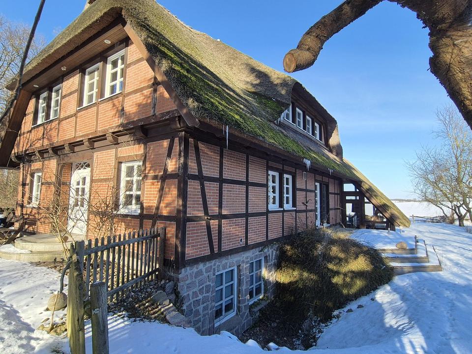 Weide, Wald und Wintergarten - Ein Traumhaus unterm Reetdach – Bild 4