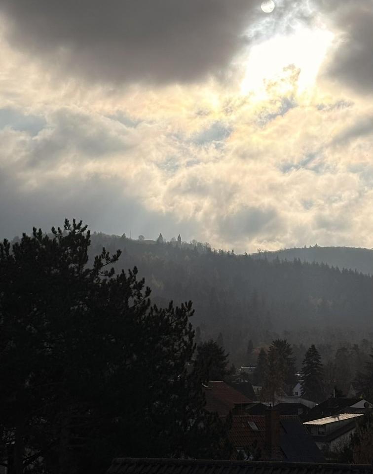 Mehrfamilienhaus in Top-Lage in Darmstadt-Eberstadt – Bild 20