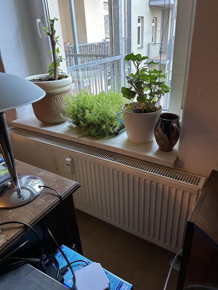 *Provisionsfrei vom Eigentümer, Kapitalanlage im Jugendstil* – Bild 40