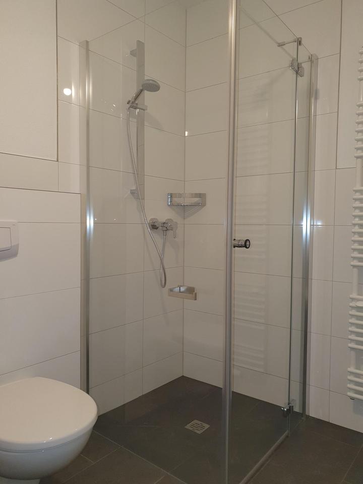 Sofort frei! Kernsanierte moderne 1-Zimmer-Loftwohnung ruhige Altstadtlage ohne Stellplatz – Bild 4