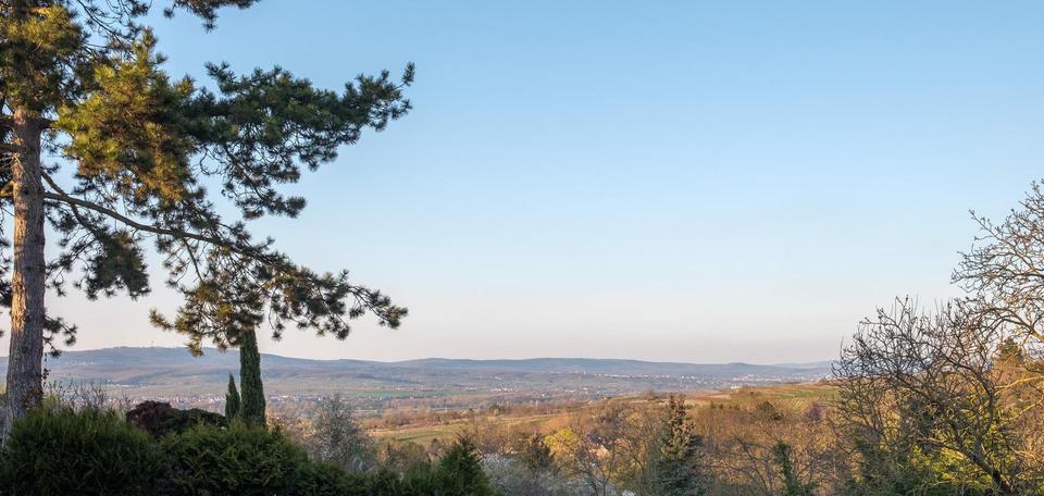 Leben und Arbeiten in schöner Lage – Bild 6