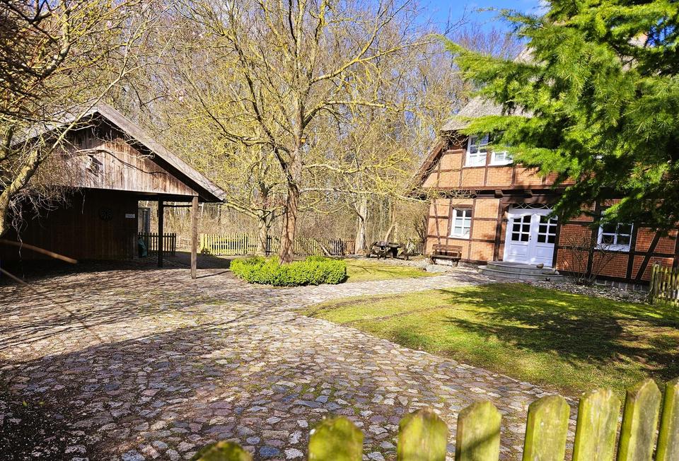 Weide, Wald und Wintergarten - Ein Traumhaus unterm Reetdach – Bild 7