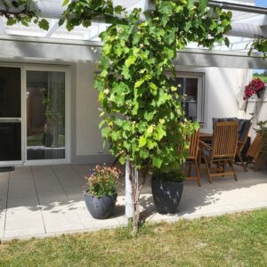 Schönes EFH mit exklusiver Ausstattung