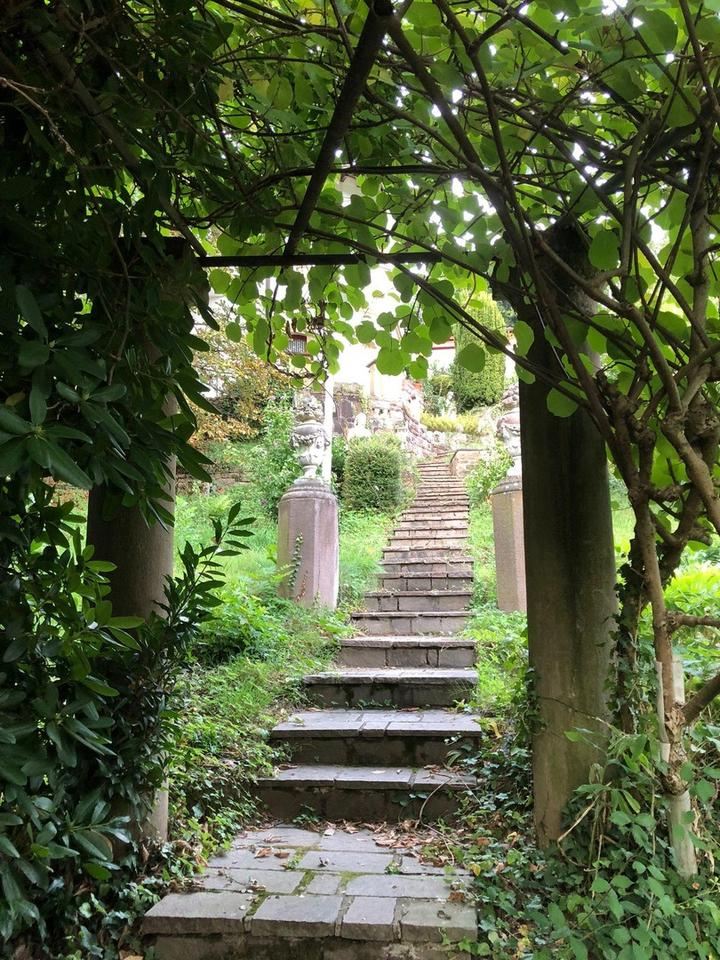 Traumaussicht in die Rheinebene - Einfamilienhaus mit Einliegerwohnung und Ausbaupotenzial – Bild 20