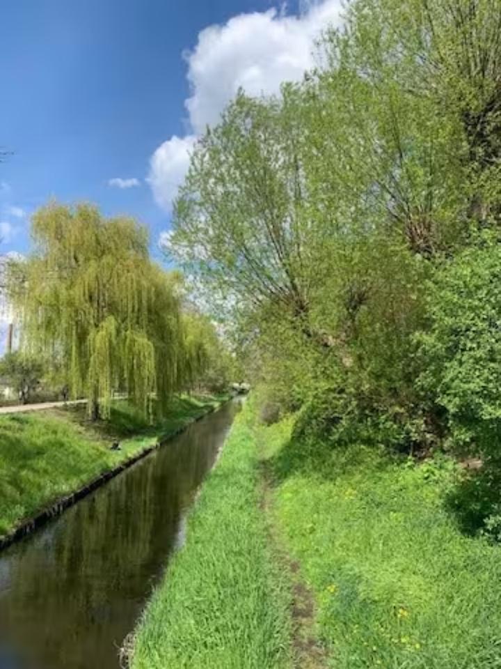 Bezugsfreie 2-Zimmer-Altbauwohnung im begehrten Wedding — sofort verfügbar, vielseitig nutzbar – Bild 5