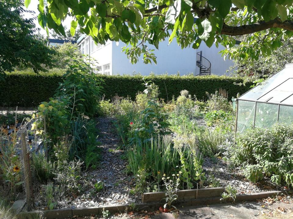 Haus mit Einliegerwohnung voll unterkellert in Wesendorf – Bild 5