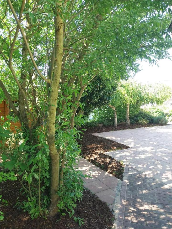 3-Zimmer Erdgeschosswohnung in Volkach Kirchberg ruhige Lage Garten – Bild 7