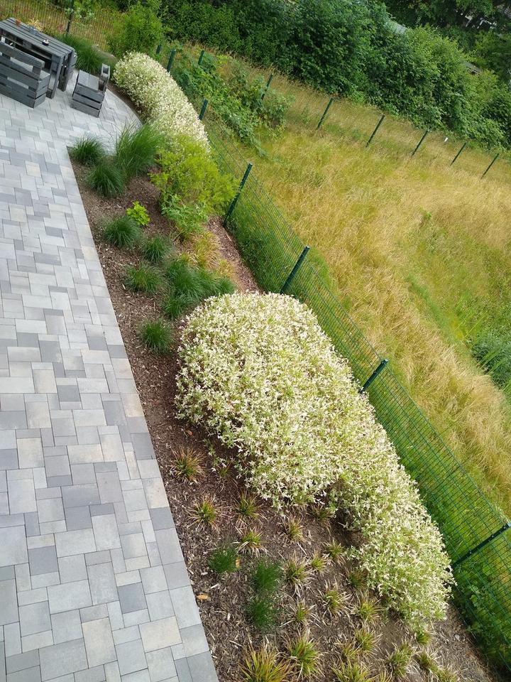 3 Zimmer Gartenwohnung mit Waldblick – Bild 15