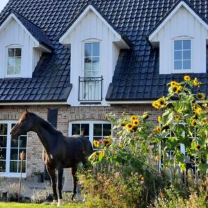 Einfamilienhaus im Friesenstil mit Doppelgarage und Garten