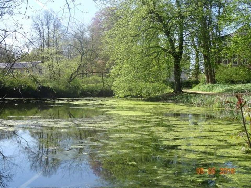 Stilvolle Jugendstilvilla mit Parkblick in Itzehoe – Bild 6