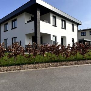 Wohnung zu vermieten in Klütz