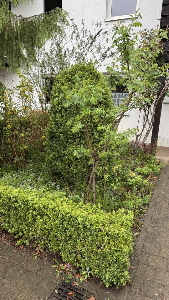 Charmantes Reihenhaus mit Garten in 08280 Aue + Garagen – Bild 2