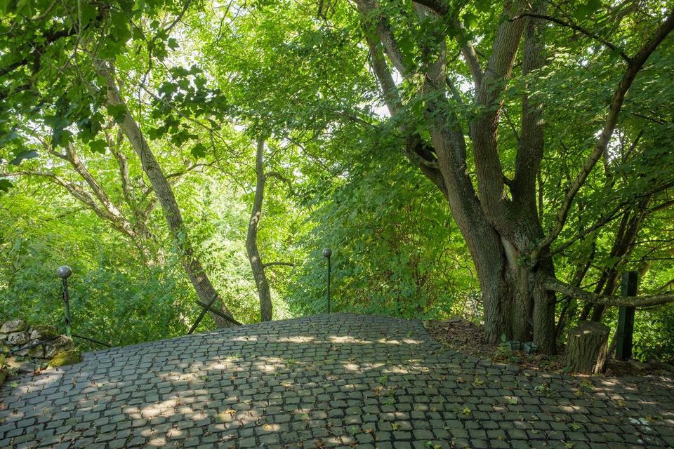 Leben und Arbeiten in schöner Lage – Bild 35