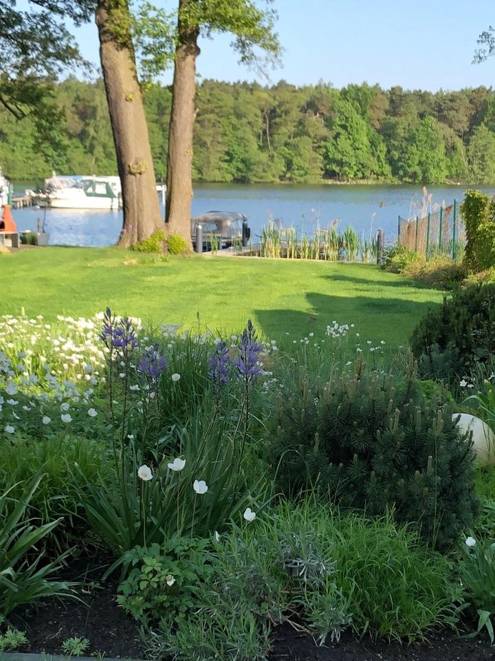 gepflegte Villa mit eig. Seezugang, Steg, Gästehaus, Sauna, Designmobiliar nahe Berlin – Bild 21