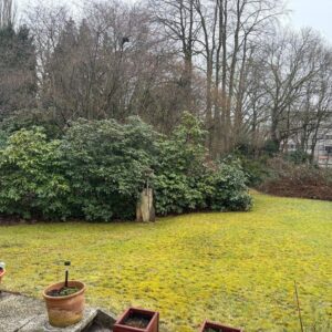 MFH + Baugrundstück/ Neubaupotenzial