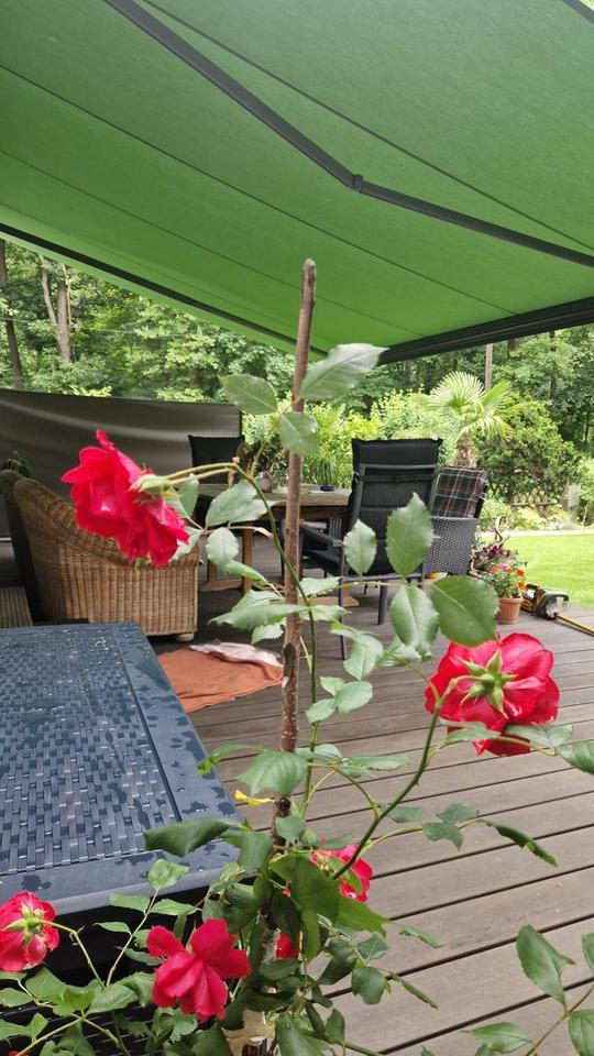 Herrlich gelegenes Einfamilienhaus im Grünen – Bild 8