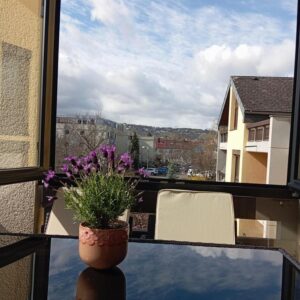 schöne 2,5-3-Zimmer-Wohnung in perfekter Lage