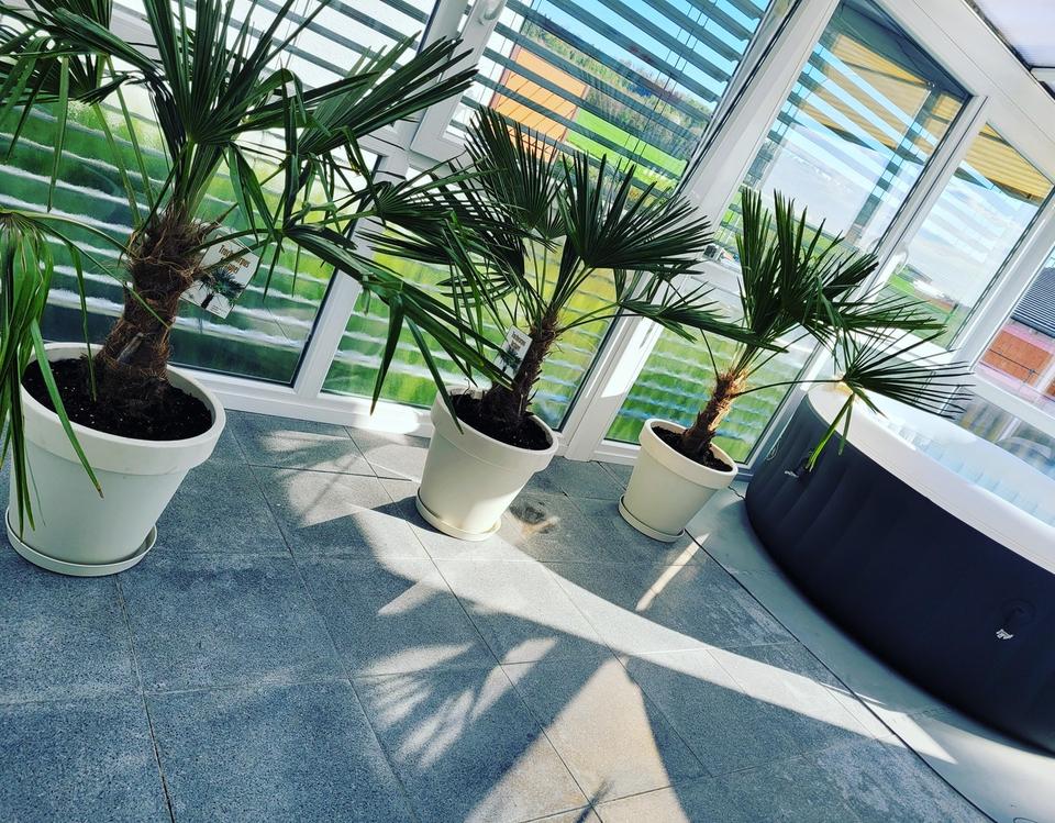 Provisionsfrei! Freistehendes Haus + Einliegerwohnung 865m Garten +Garage,Keller – Bild 19