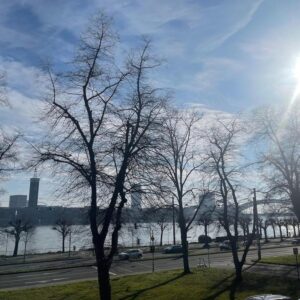 Möblierte Wohnung mit direktem, imposanten Rheinblick, schicke Wohnung in bester Kölner Altstadtlage