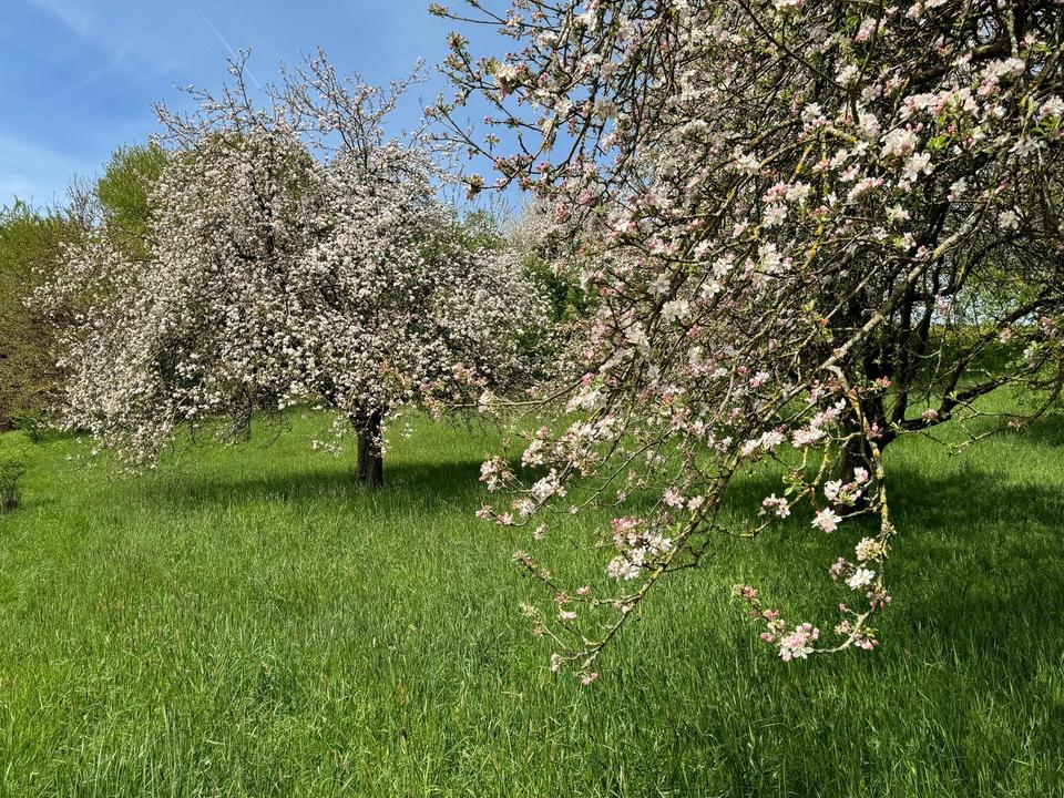 Besonderes Anwesen in Alleinlage mit Bergsicht – voll erschlossen, sofort rentabel, erweiterbar – Bild 21