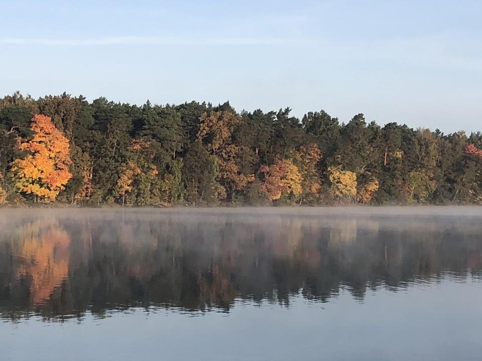 gepflegte Villa mit eig. Seezugang, Steg, Gästehaus, Sauna, Designmobiliar nahe Berlin – Bild 10