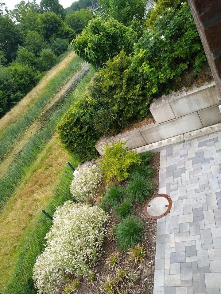 3 Zimmer Gartenwohnung mit Waldblick – Bild 14