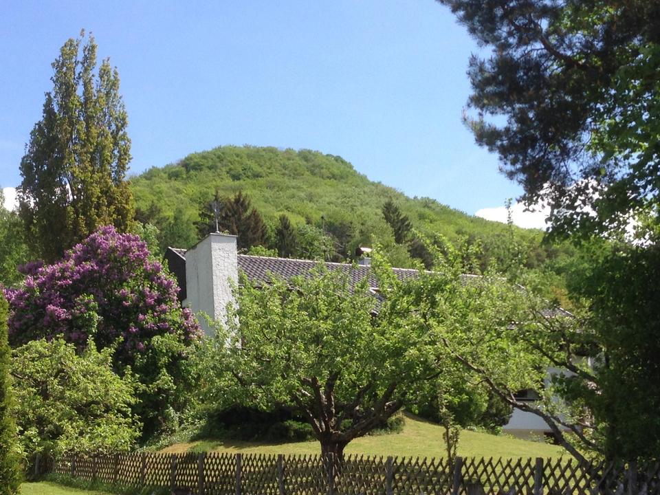 Stadtnahes Landhaus in Traumlage – Bild 4