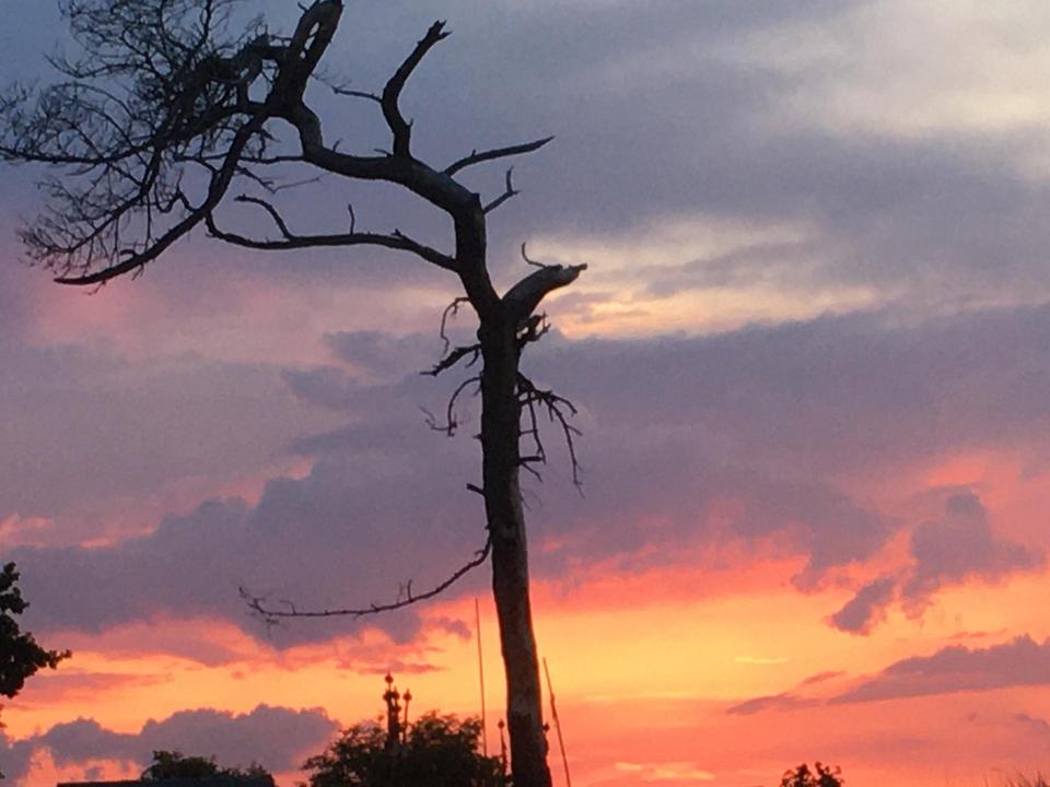 Renditestarkes Ferienhaus auf Usedom mit Einliegerwohnung – 49.800 € Einnahmen – provisionsfrei – Bild 32