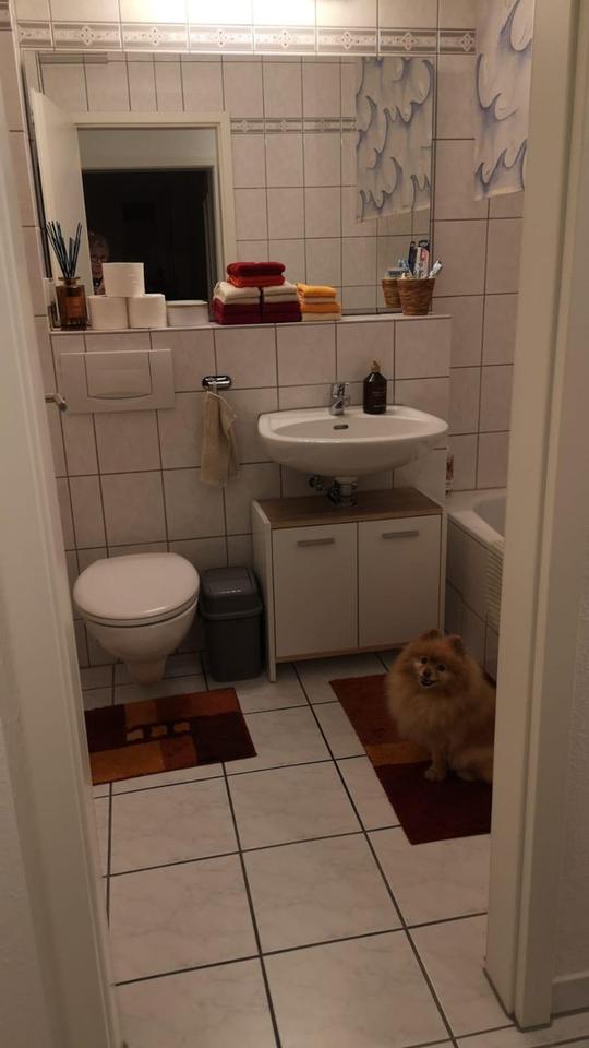 3ZKB, Balkon, Garage | Im Sand, Neunkirchen – Bild 7