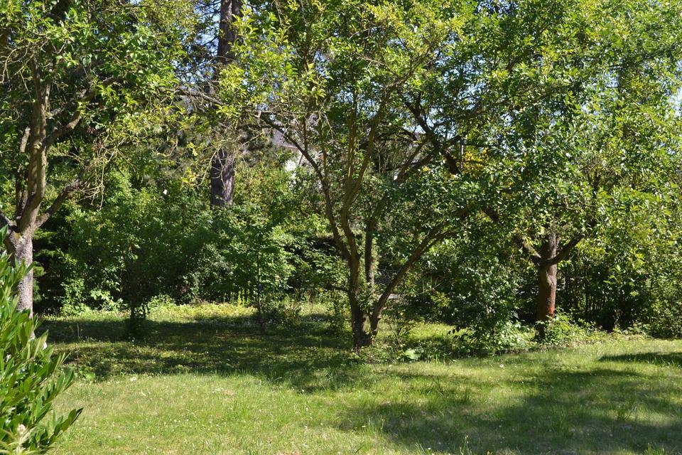 Große helle Wohnung mit großem Garten, in bevorzugter Wohnlage – Bild 27