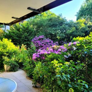 Schöne Terrassenwohnung in Nienstedten