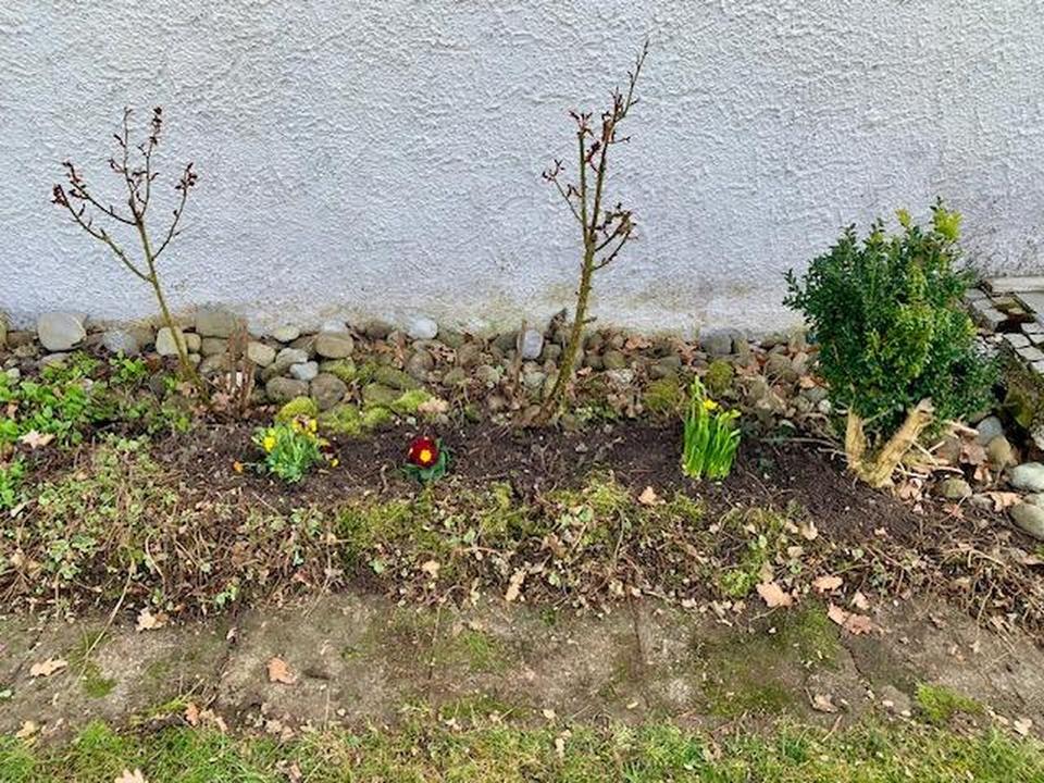 Stadtnahes Landhaus in Traumlage – Bild 35