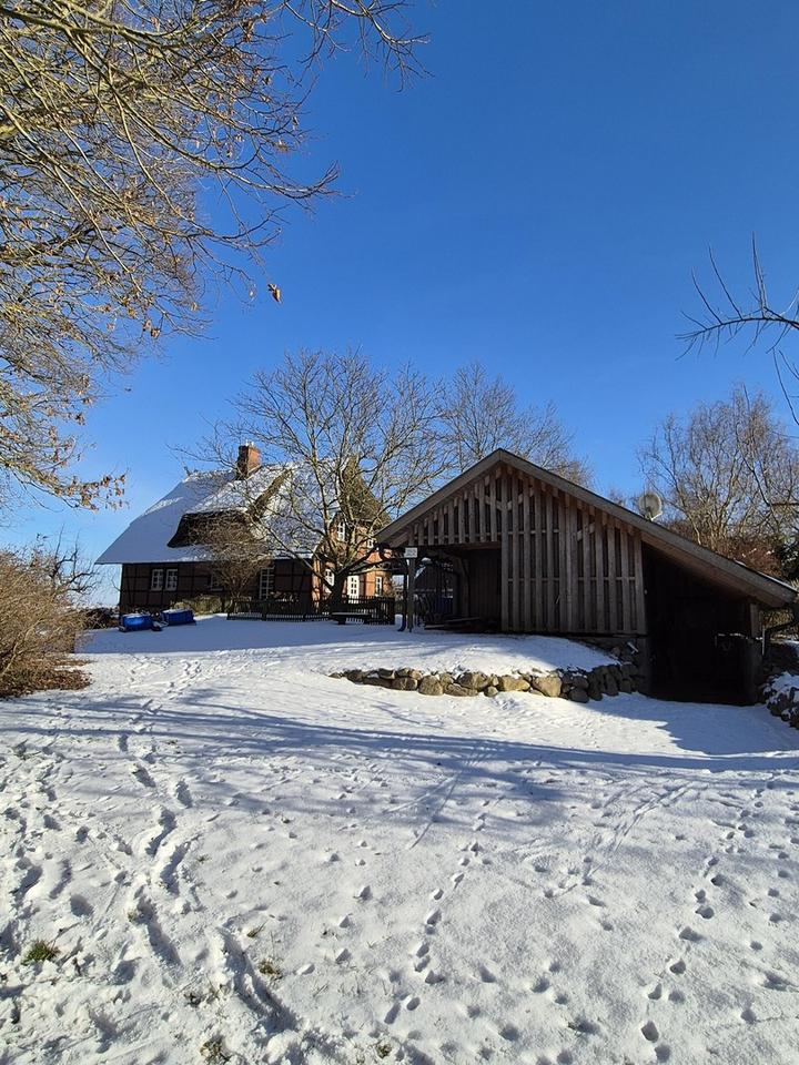Weide, Wald und Wintergarten - Ein Traumhaus unterm Reetdach – Bild 11