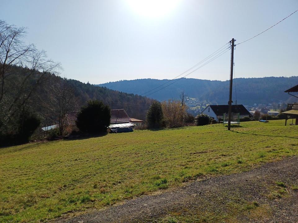 Projektiertes Baugrundstück in bester Lage von Wilhelmsfeld – Bild 7