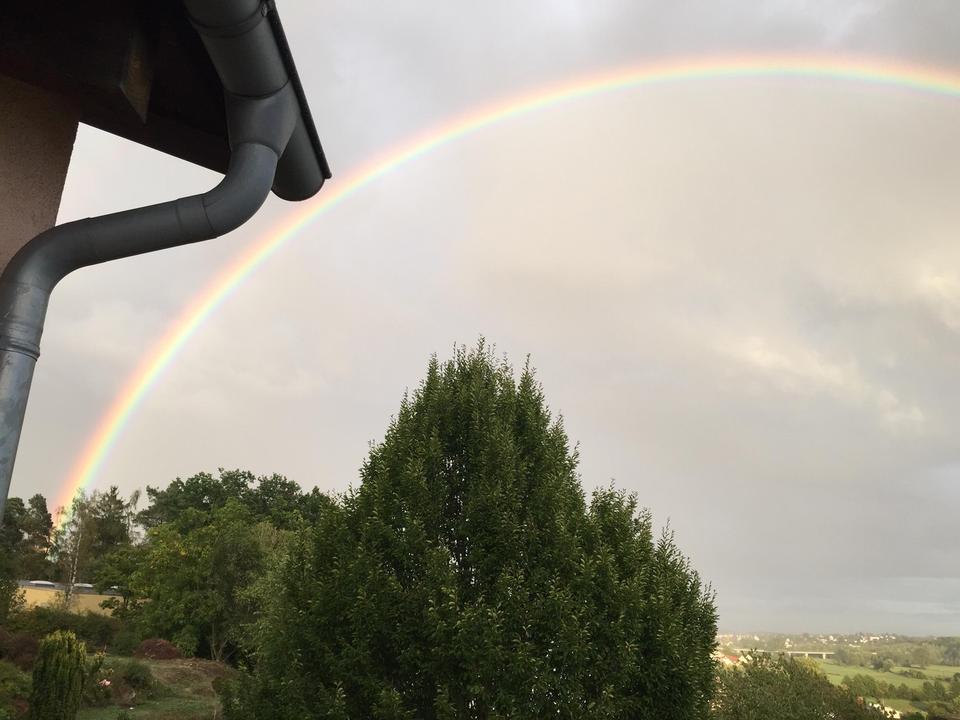 Großzügiges Ein- bis Zweifamilienhaus mt 8.197 qm Grund, PV-Anlage, Wald und Panoramablick – Bild 32