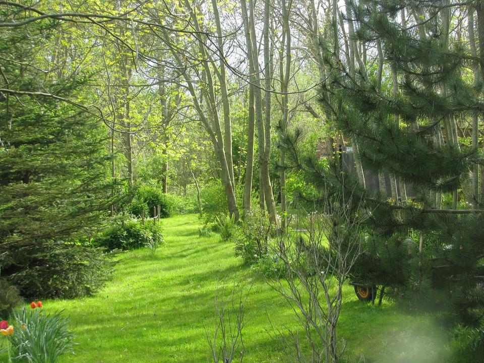 Großes Feriengrundstück auf Rügen mit Bungalow, Gästebungalow und Werkstatt – 650 m² Bauland – Bild 10