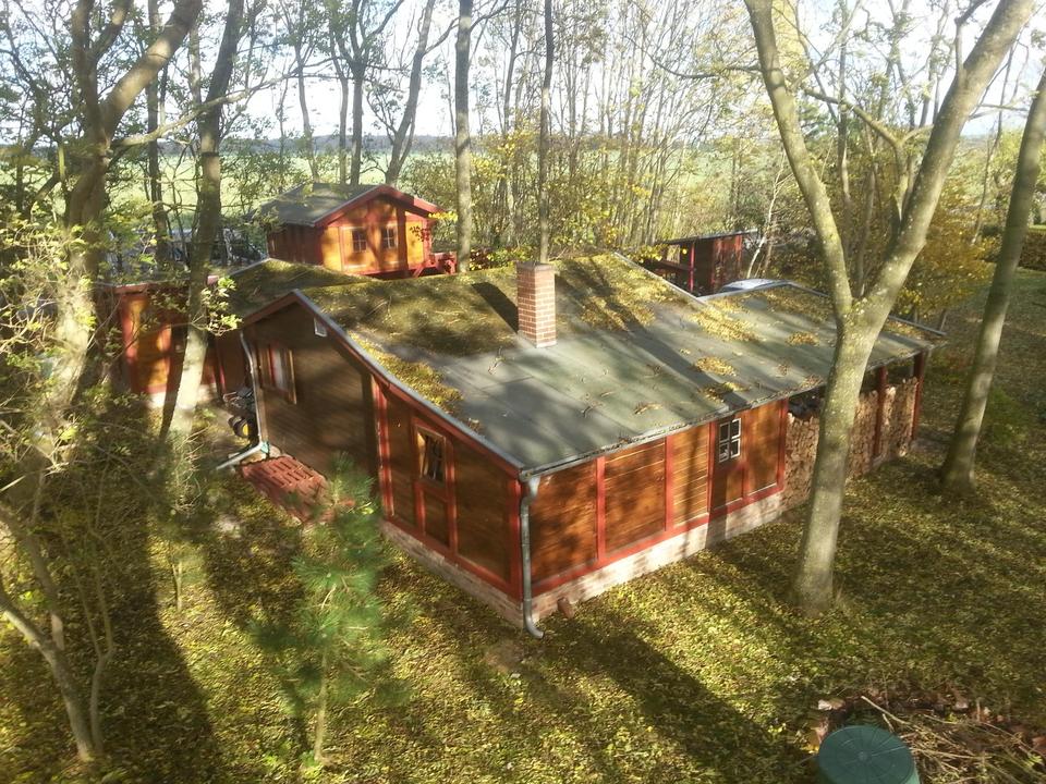 Großes Feriengrundstück auf Rügen mit Bungalow, Gästebungalow und Werkstatt – 650 m² Bauland – Bild 2