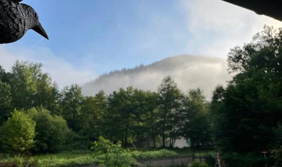 Sie wünschen sich schon immer ein Haus am See? – Bild 20