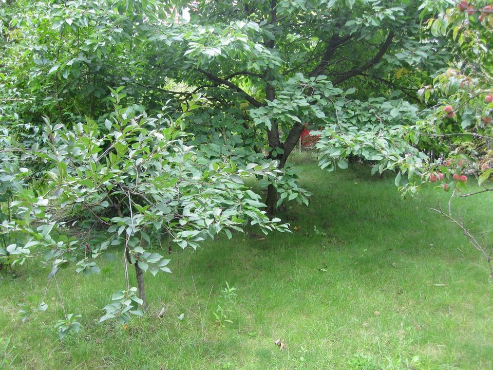 Charmante 3 Zimmer Wohnung im 1. OG mit Blick ins Grüne – Bild 14