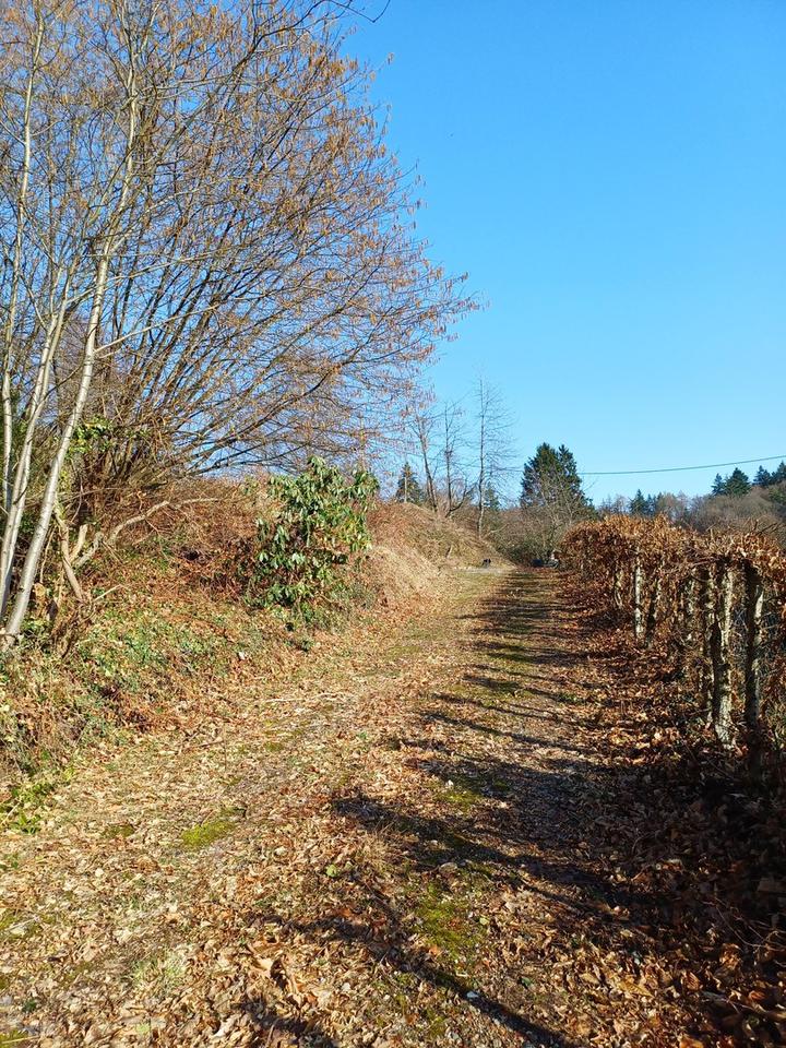 Projektiertes Baugrundstück in bester Lage von Wilhelmsfeld – Bild 5