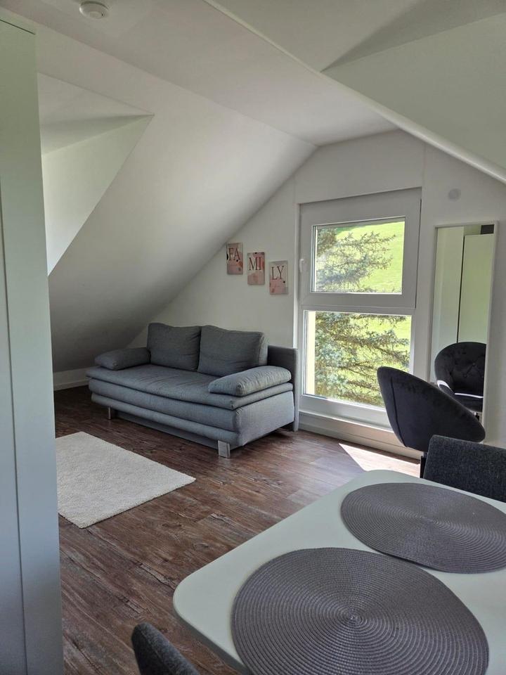 1-Zimmer Wohnung im Grünen – Bild 4