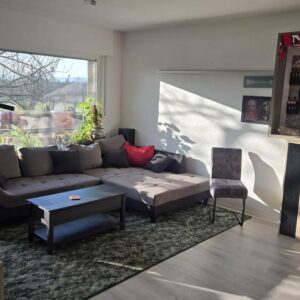 Kurzfristig verfügbar: Sanierte teilmöblierte 2,5-Zimmer-Wohnung mit EBK in Hochheim