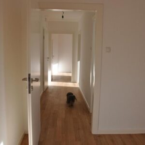 Lichtdurchflutete, ruhige, 2 Zimmer DG-Wohnung zwischen Rüttenscheid und Klinikum