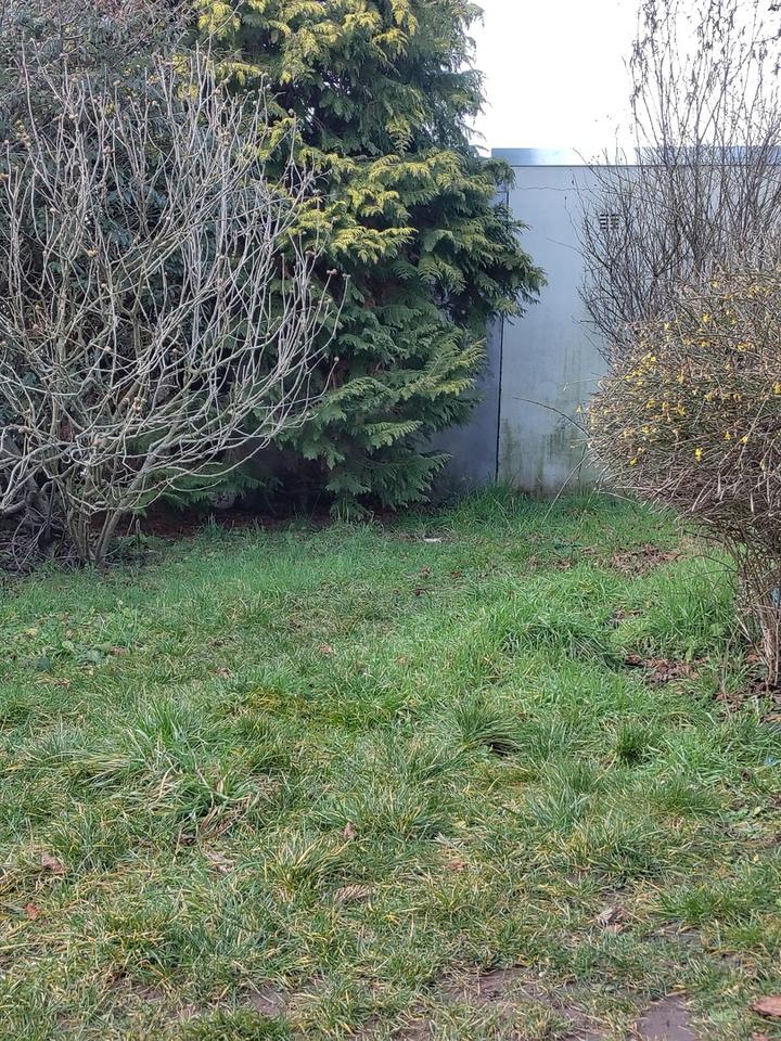 3ZKB schön geschnitten mit Hobbyraum, Terrasse und Gartenmitbenutzung in ausgezeichneter Lage – Bild 9