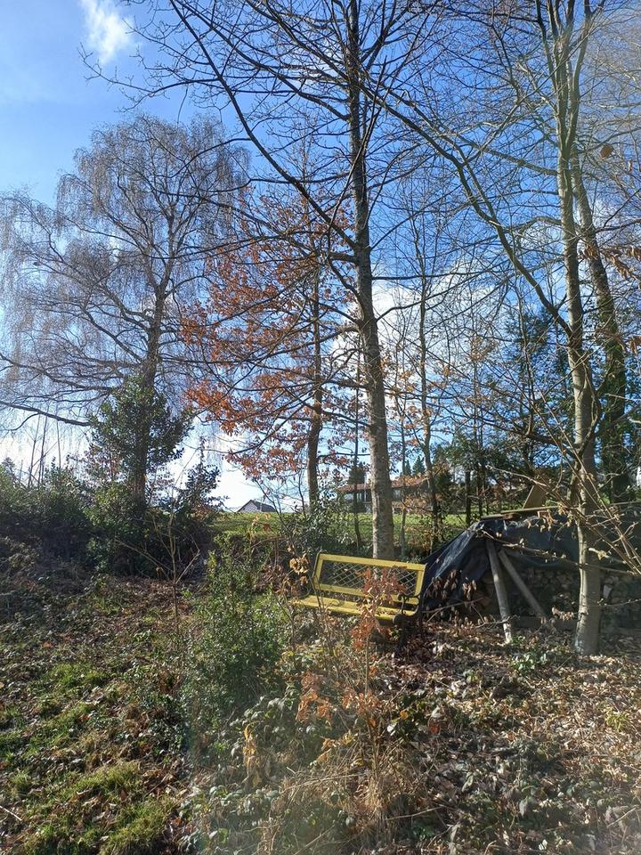 Projektiertes Baugrundstück in bester Lage von Wilhelmsfeld